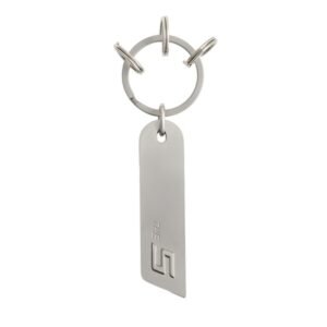 Original BMW 5 Series key ring - Plate